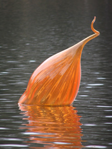 Float in          Palm House lake