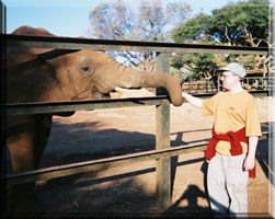 elephant and me