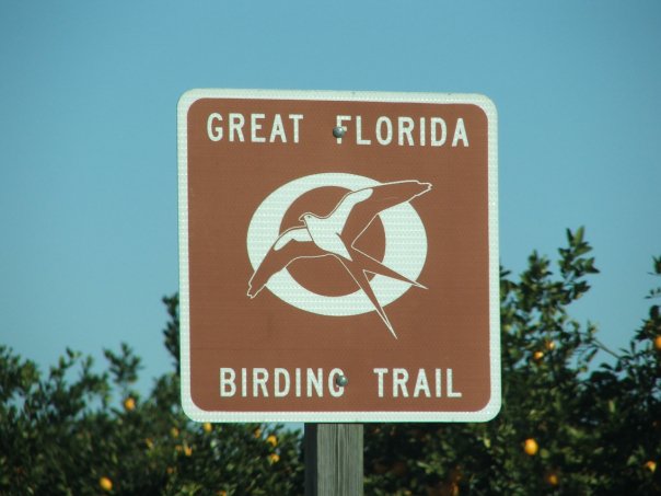 Great                    Florida Birding Trail sign